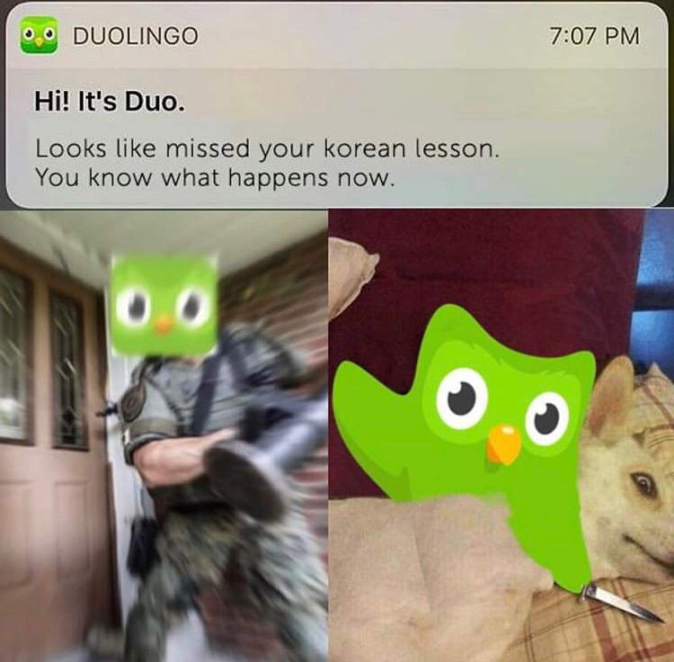 Some more Duolingo Memes.