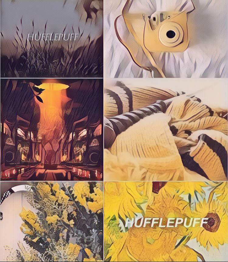 Hogwarts Houses Moodboards | Harry Potter Amino