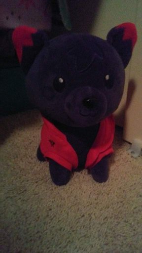 aaron cat plush