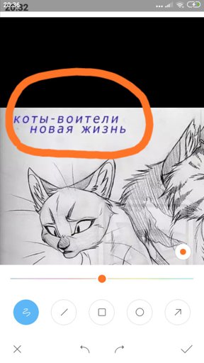 Номера кот. Рисунки котенка лайка. Котики из лайка. Котенок лайк рисунок. Нарисовать котенка лайка.