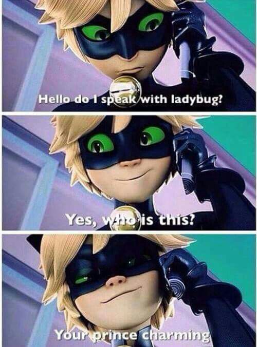 Cat Noir Memes Miraculous Amino