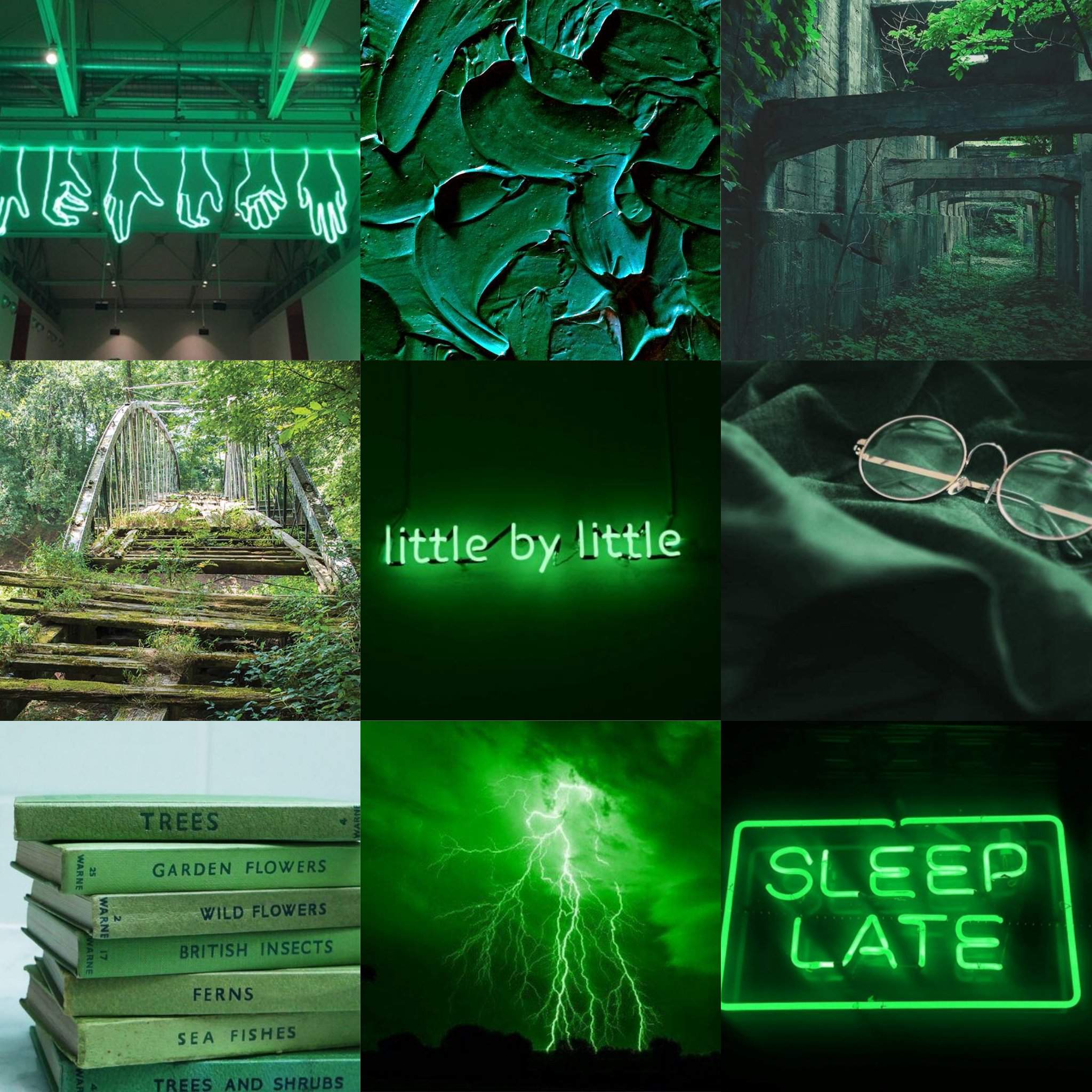 🌿 Woods 🌿 | aesthetics Amino