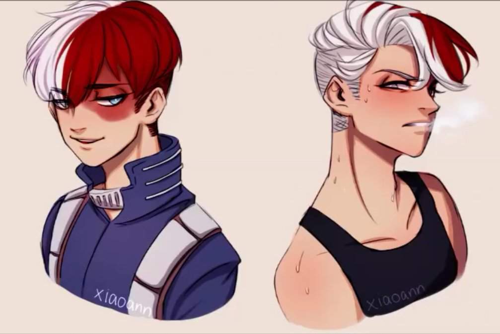 Shoto Todoroki My Hero Academia Amino