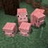 amino-Galifraxian_Minecrafter-6f8a9e2c