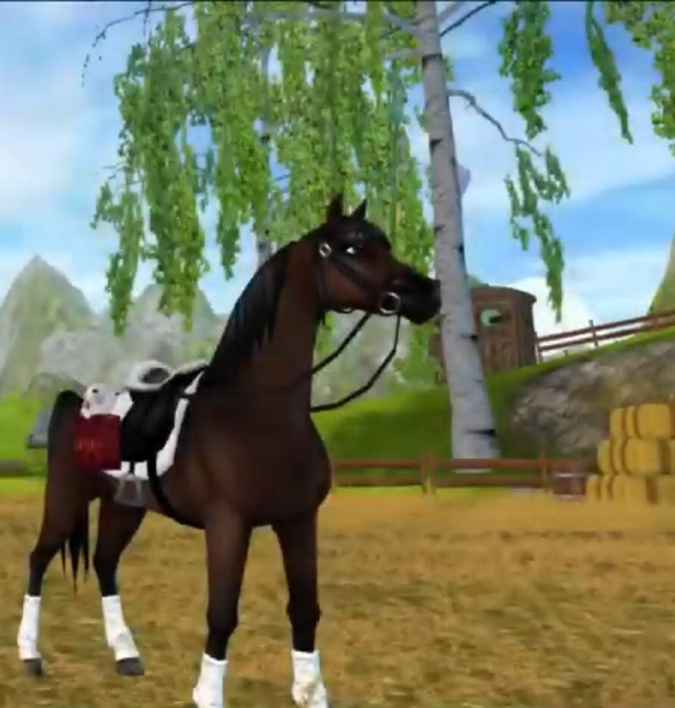 Star Stable Horse Breeds | Star Stable Online Amino