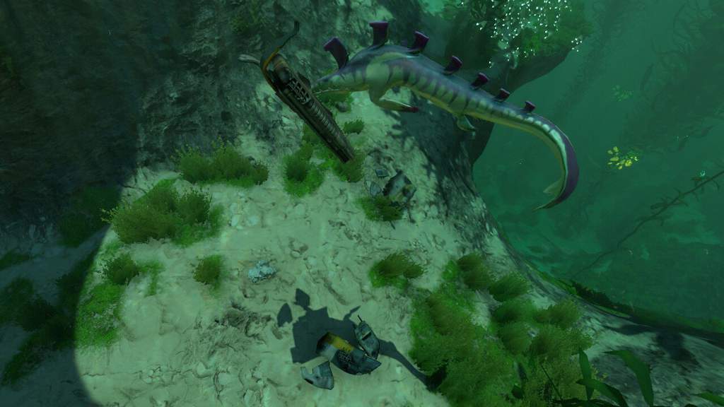 Kelp Forest Wiki Subnautica Amino