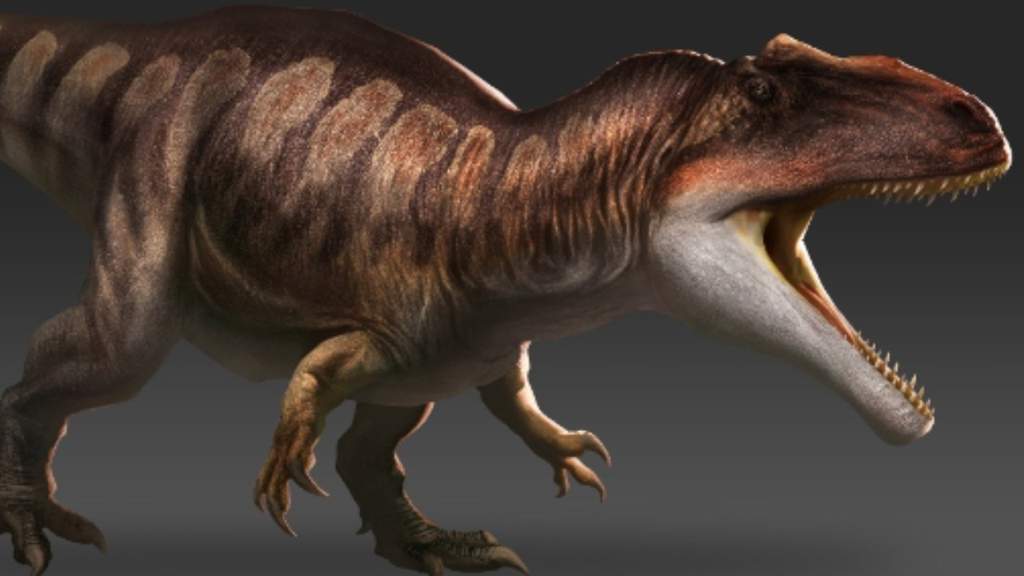 Giganotosaurus | Wiki | Amino Paleontología Amino