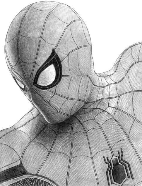 Dibujo Spiderman | Tom Holland Amino