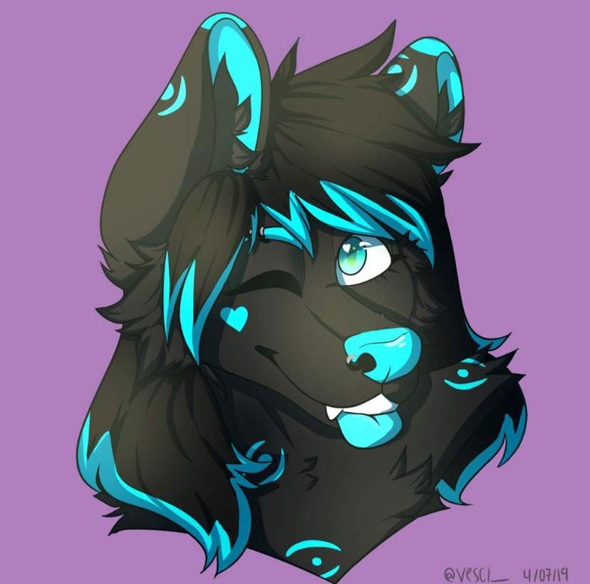 Commission 💫 | Furry Amino