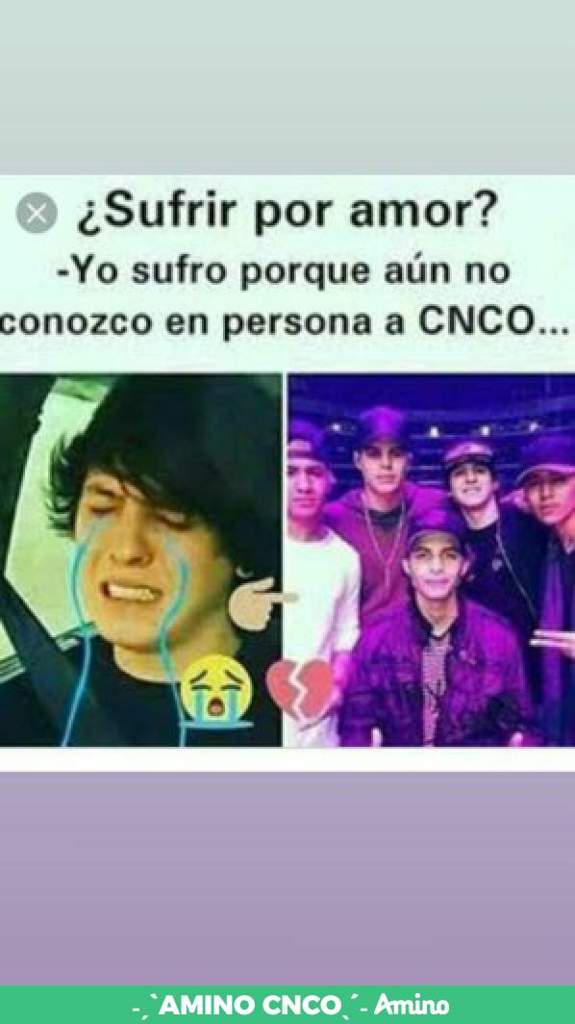 Memes De Cnco Nustro Amor Eterno Love Cnco Amino