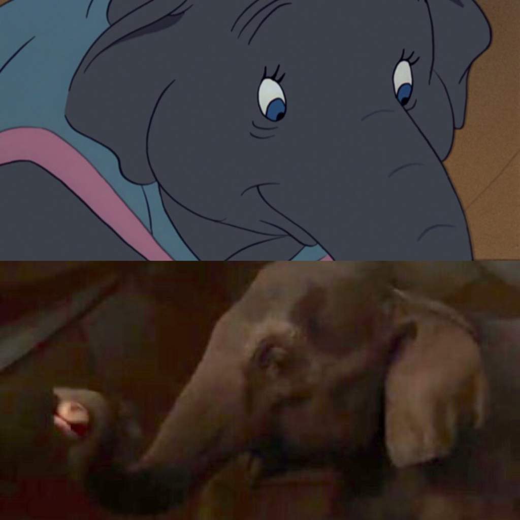 mrs jumbo disney tradition