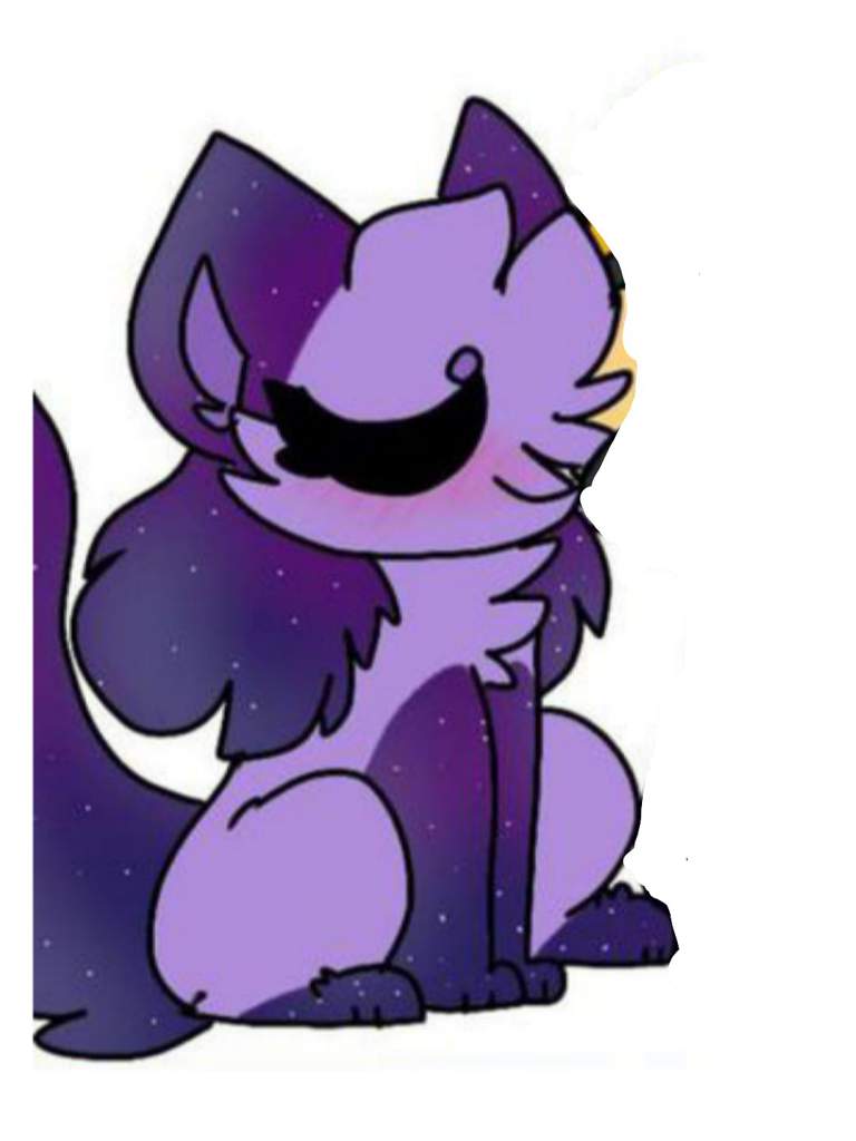 Galaxy ( update) | Wiki | Official Kittydog Amino Amino
