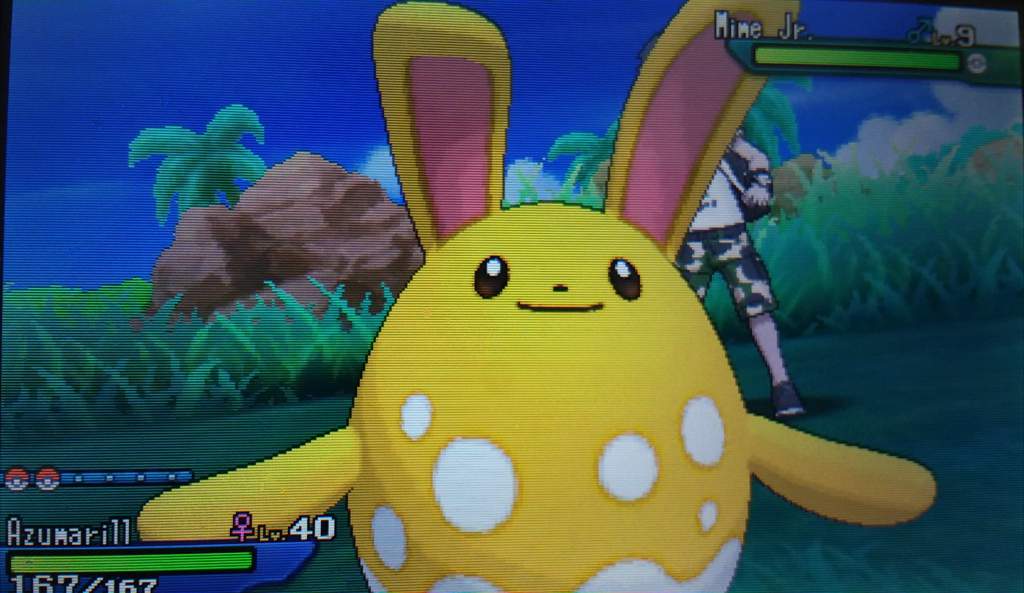 Mm The Golden Easter Egg Bunny Comes Early Kinda Shiny Pokemon Amino Amino