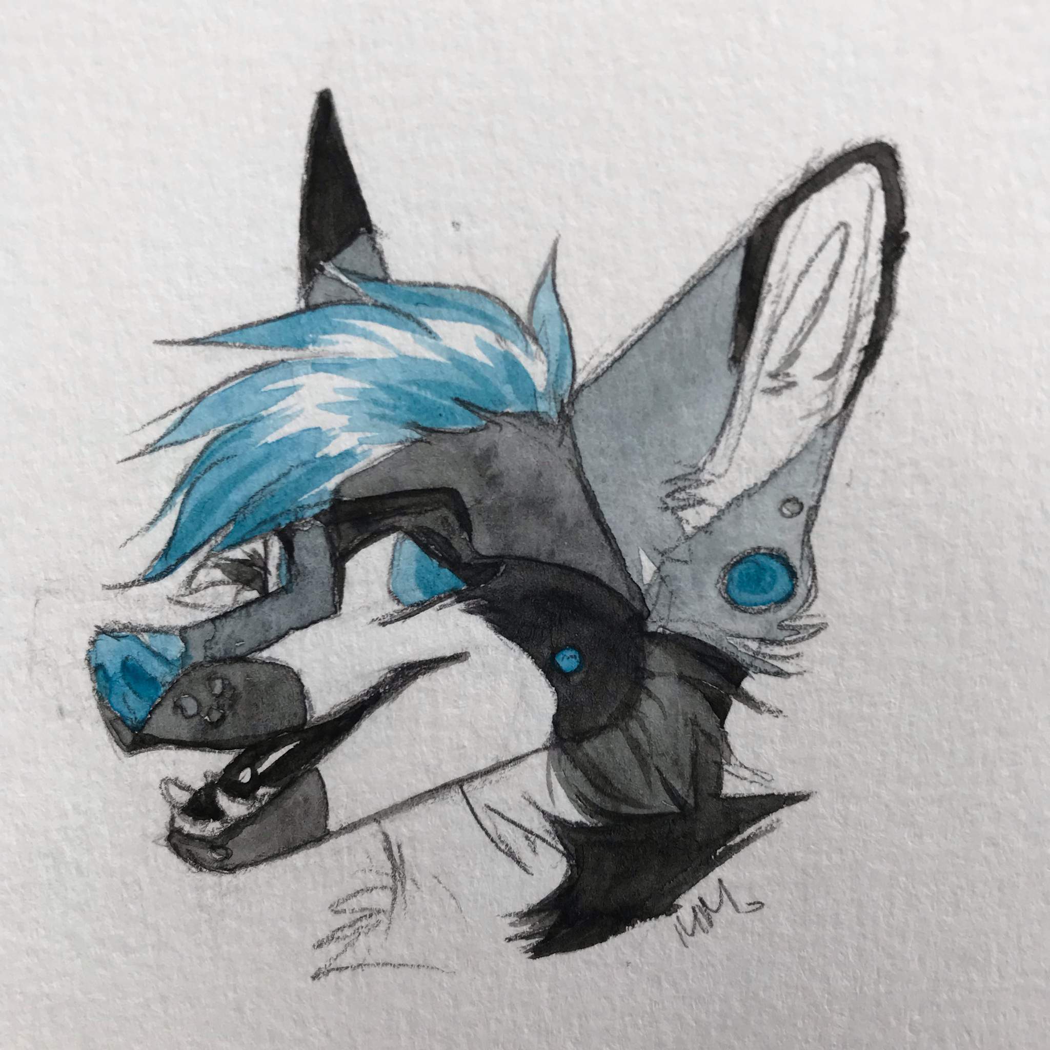 Small art dump :) | Texas Furries Amino