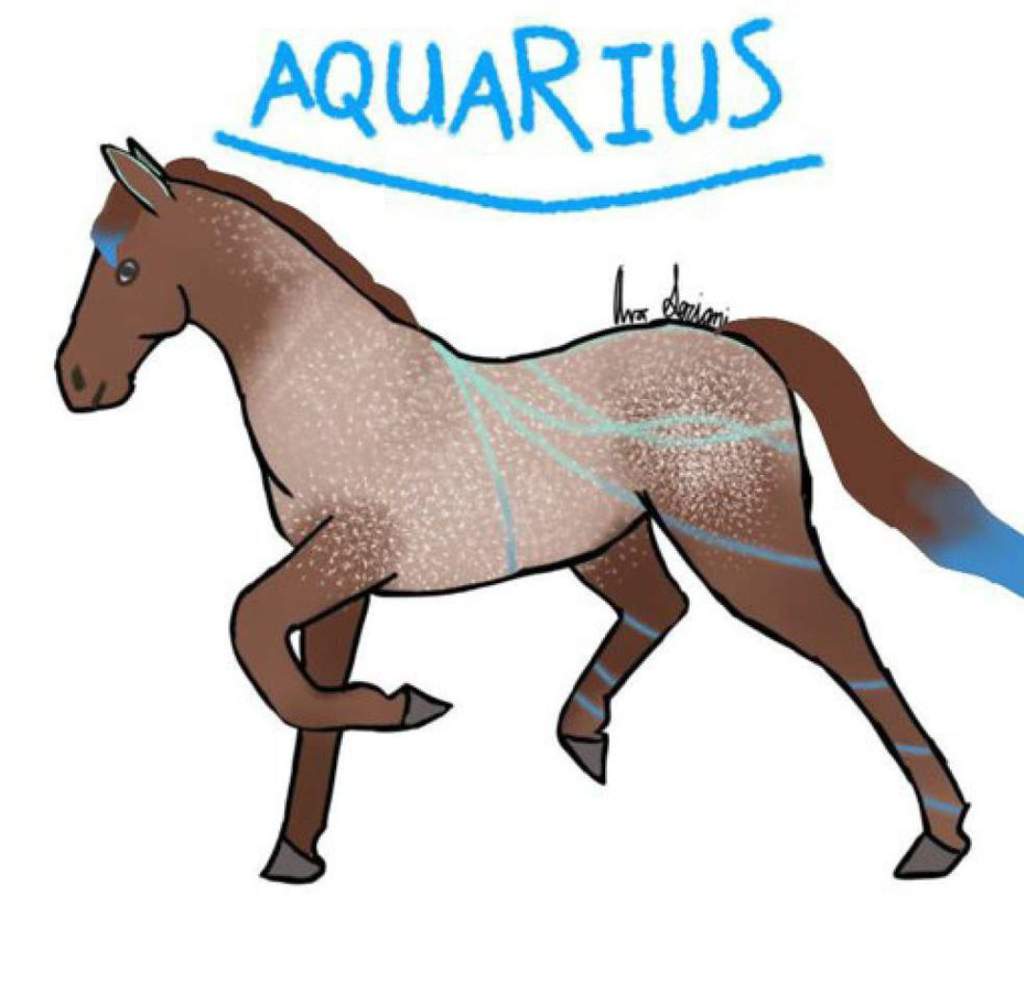 Aquarius Wiki Horse Art RPG Amino