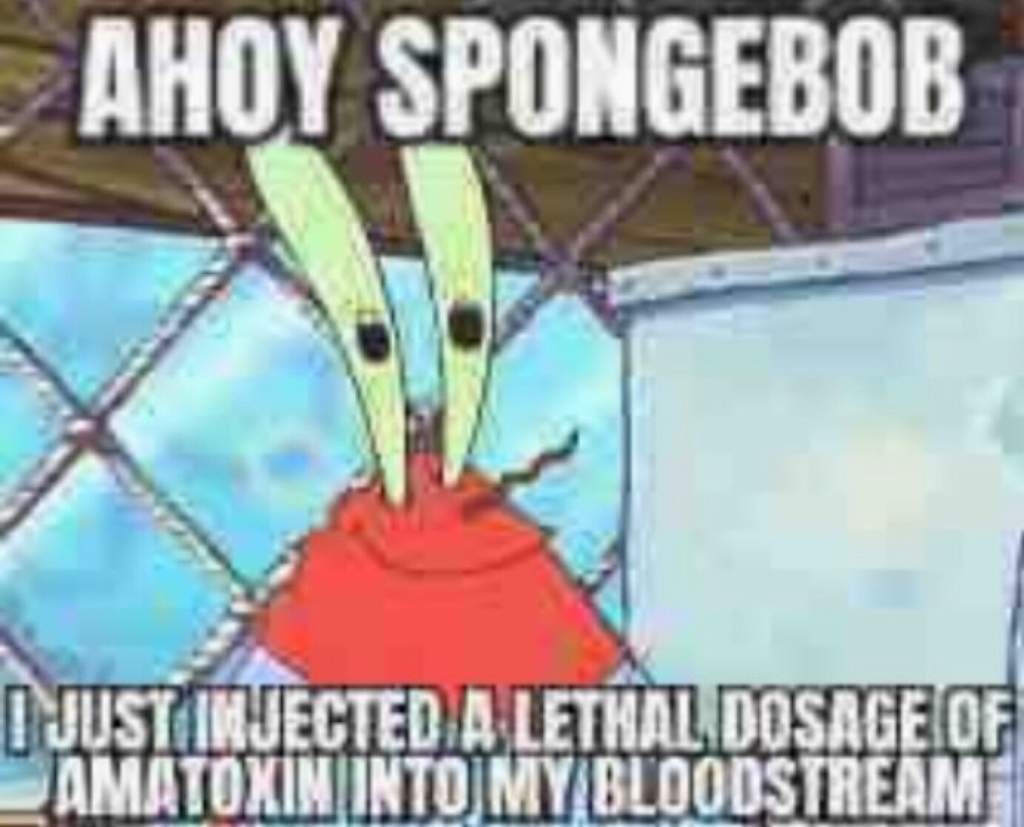 Ahoy Spongebob Dank Memes Amino