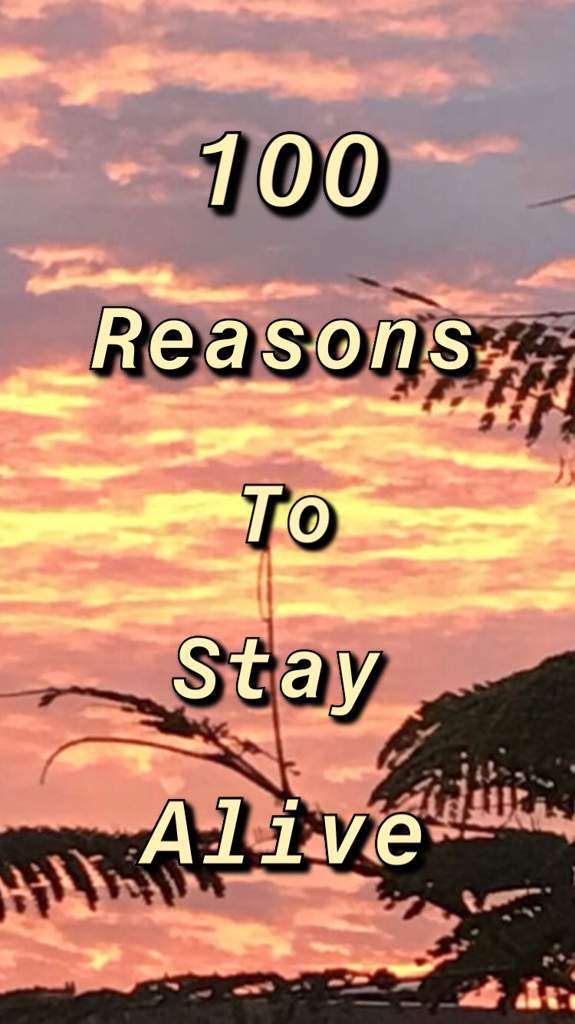 reasons to stay alive pages