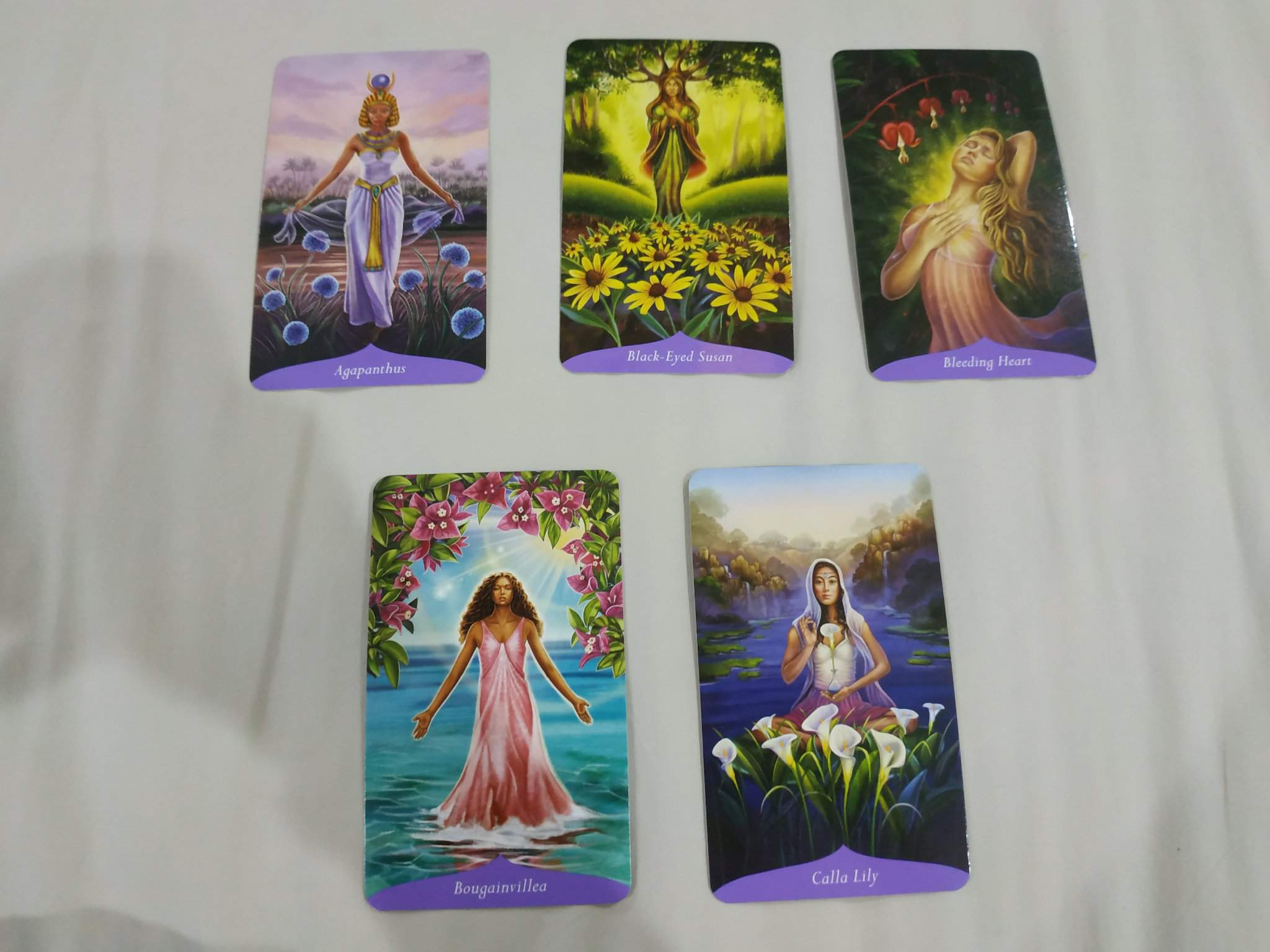 Magic of Flowers | Wiki | Tarot and Divination Amino