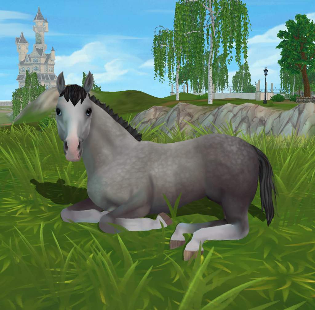 Foal Edit! | Star Stable Online Amino