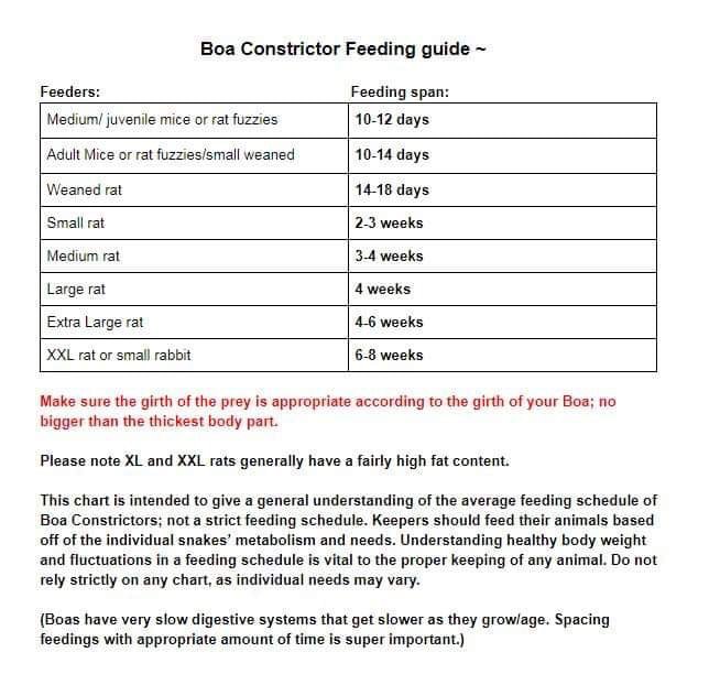 Boa Feeding Chart