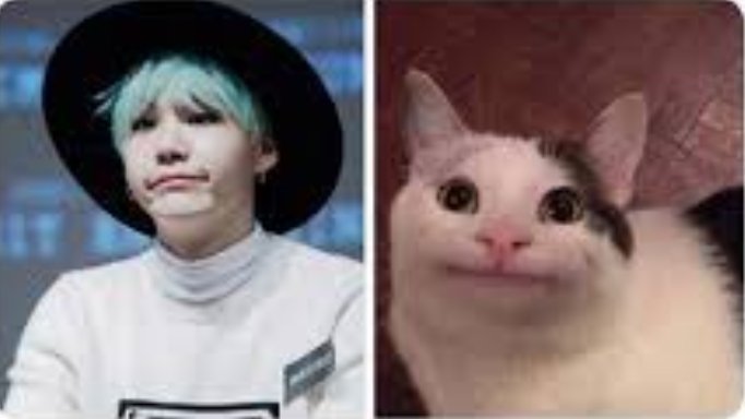 I SEE NO DIFFERENCE!!HE IS NOW A YOONGI CAT!!!🐱💜💜💜 | BTS Amino