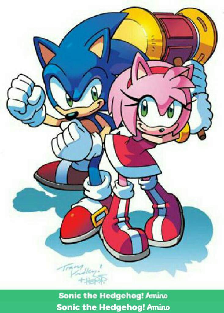 James the hedgehog | Wiki | Sonic the Hedgehog! Amino