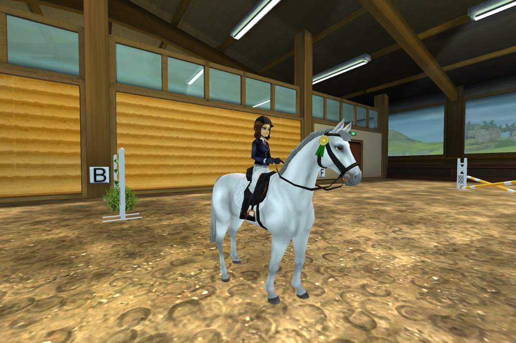 Storm’s Jumper Show | Star Stable Online Amino