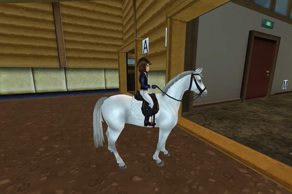 Storm’s Jumper Show | Star Stable Online Amino