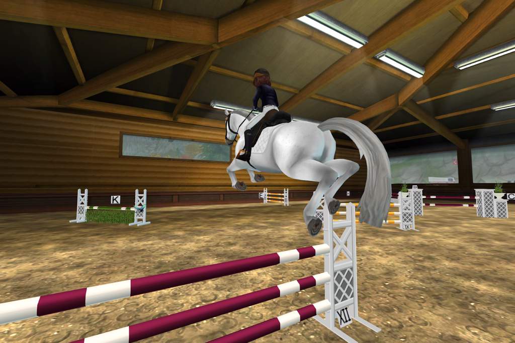 Storm’s Jumper Show | Star Stable Online Amino