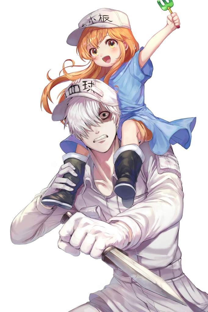 White Blood Cell U 1146 Wiki Cells At Work Hataraku Saibou Amino