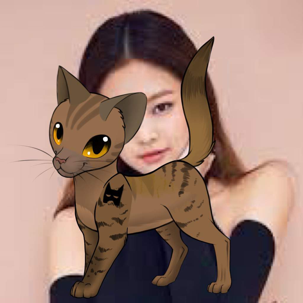 Blackpink as Warrior Cats | BLINK (블링크) Amino