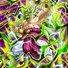 amino-Broly junior (ssj3)-a94f3b0f