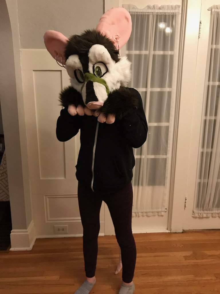 Pre-made rat fursuit for sale!(SOLD) | Furry Amino