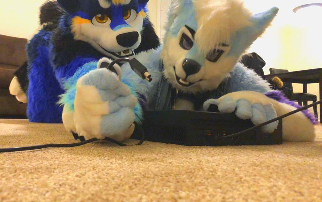 Fursuit Friday Games And Cuddle Furry Amino
