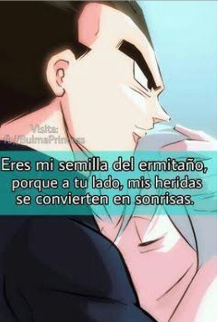 Frases de Bulmay Vegeta | DRAGON BALL ESPAÑOL Amino