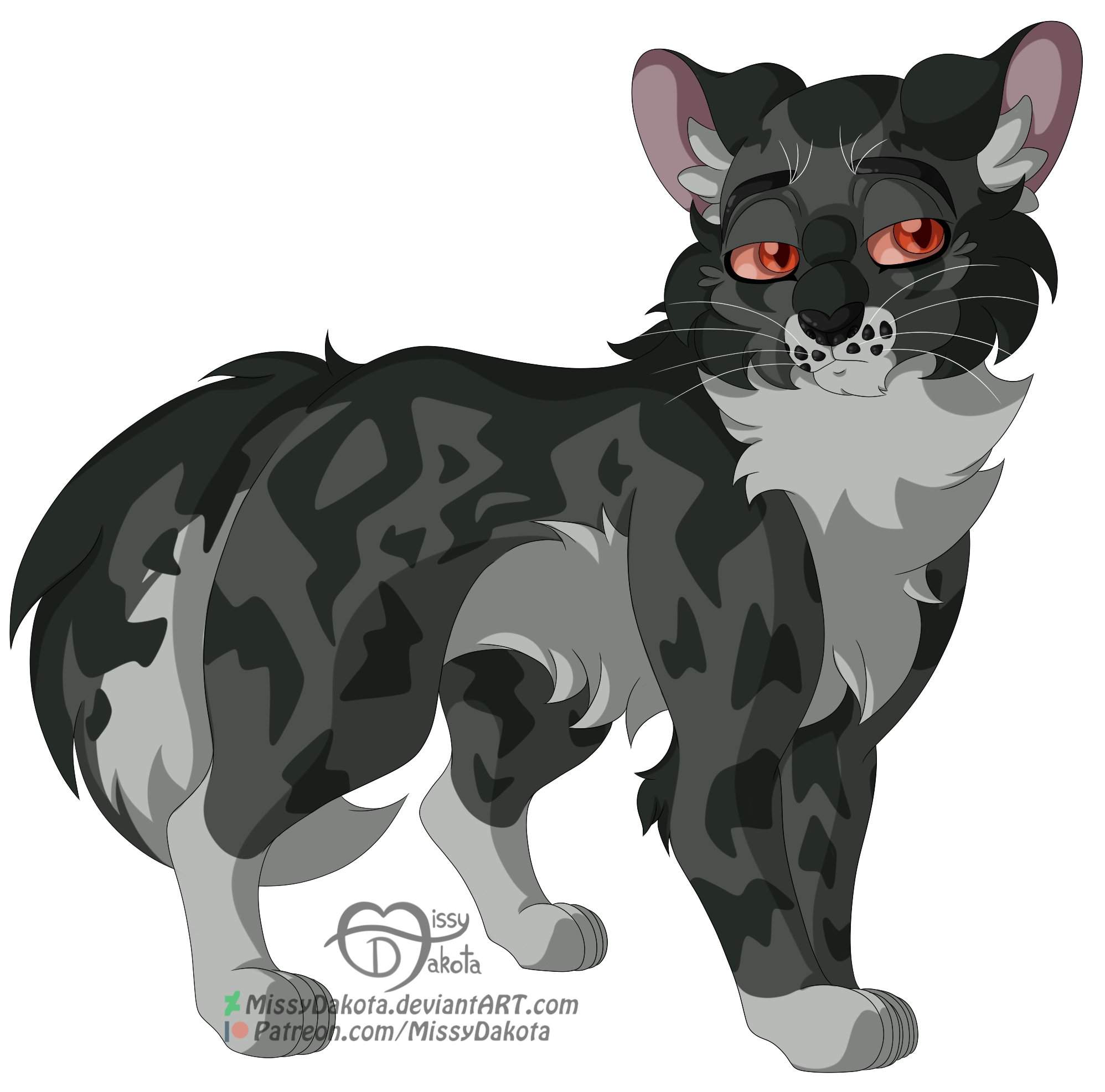 Shadowpaw | Warriors Amino