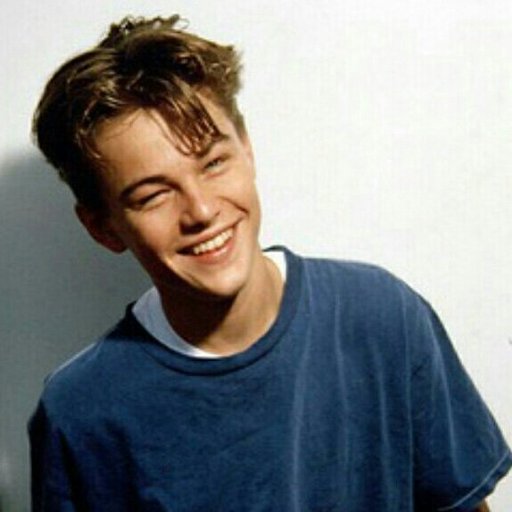 Leonardo DiCaprio Winston | Wiki | Outsiders Amino