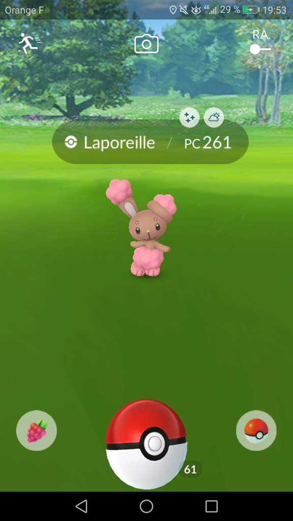 Mon Laporeille Pokemon Go Fr Amino Mon Laporeille Pokemon Go Fr Amino
