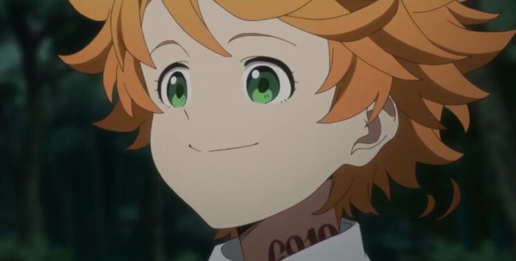 What's the promised neverland ? | Wiki | The Promised Neverland Amino