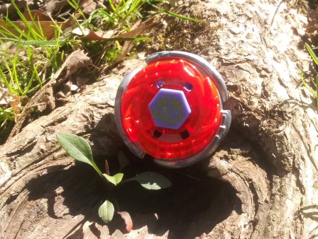 1 storm capricorn beyblade