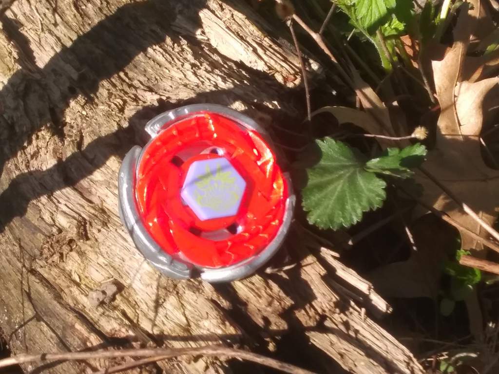 1 storm capricorn beyblade