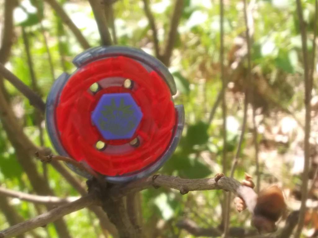 1 storm capricorn beyblade