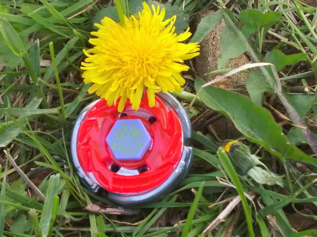 1 storm capricorn beyblade
