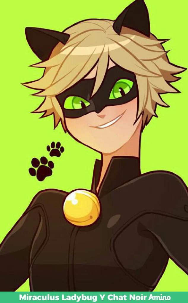 Chat Noir | Wiki | Miraculus Ladybug Y Chat Noir Amino