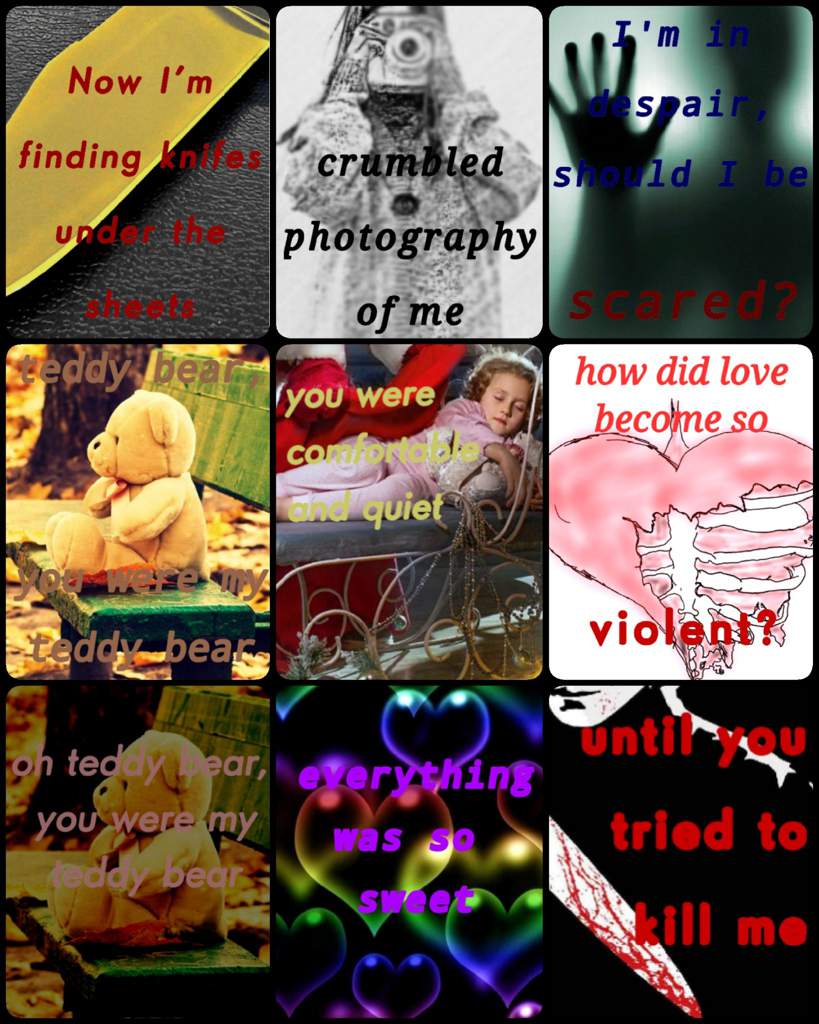 Teddy Bear Photography And Editing Amino Amino - 