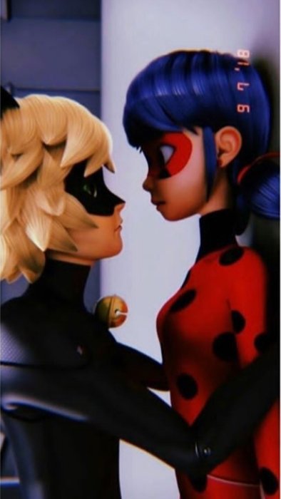 Ladynoir | Wiki | Miraculous Ladybug ! Amino