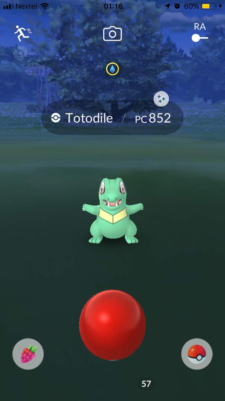 Totodile Shiny | Pokémon GO Brasil Amino