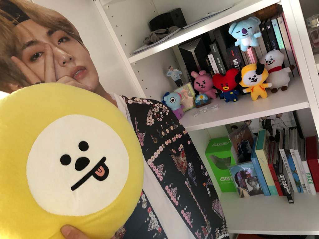 chimmy pillow price