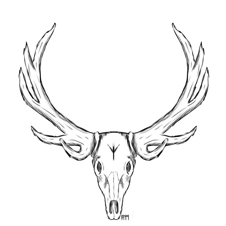 Deer skull / Algiz & Intro | Art Amino