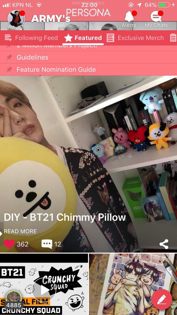 chimmy pillow